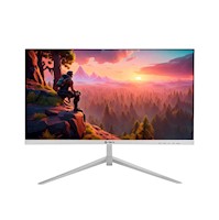 Monitor Gamer Teros Te-2124S Fhd 100Hz 5Ms F Plano-Ips